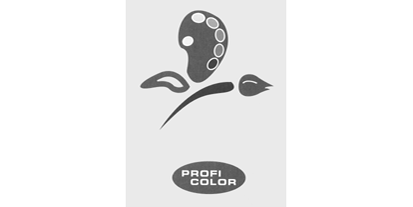 PROFI COLOR