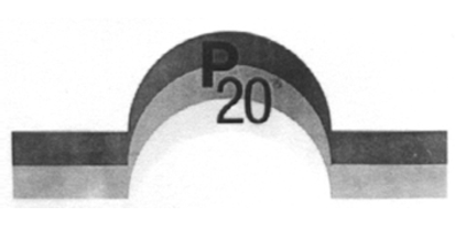P20