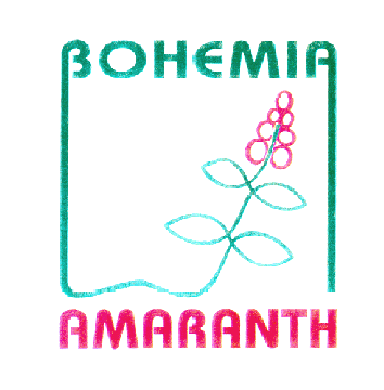 BOHEMIA AMARANTH