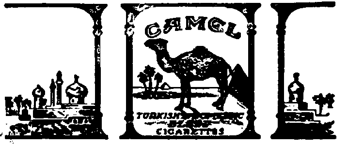 CAMEL