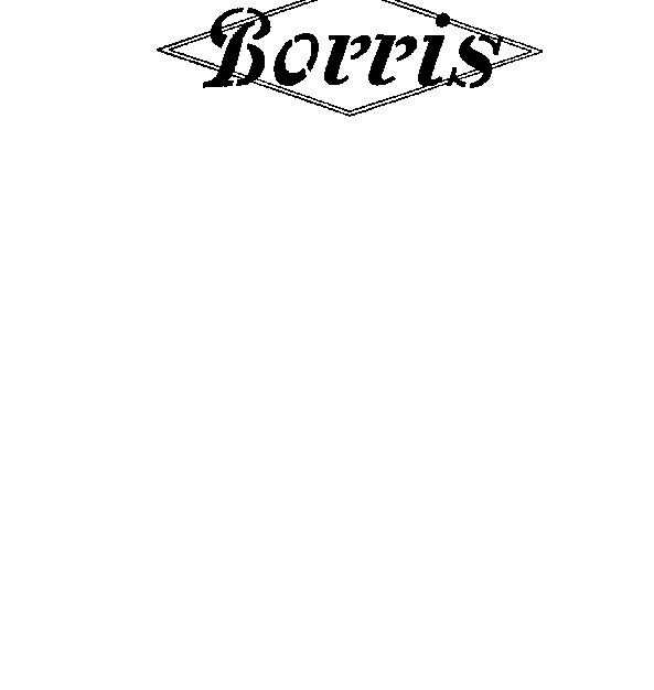 BORRIS