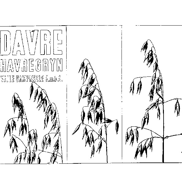 DAVRE HAVREGRYN VEJLE DAMPMØLLE A.m.b.A.