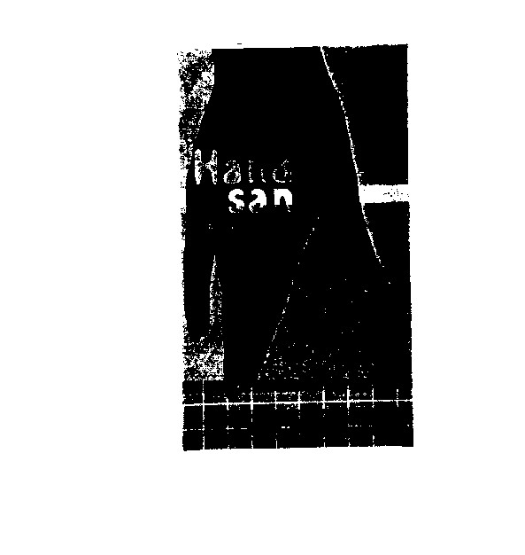 HAND SAN