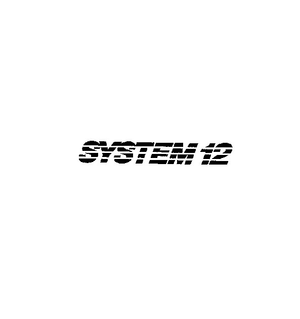 SYSTEM 12