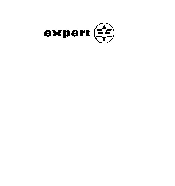 expert