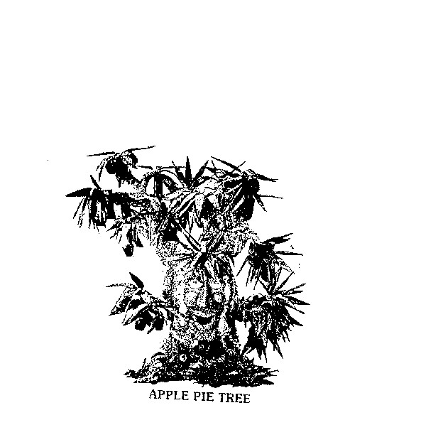 APPLE PIE TREE