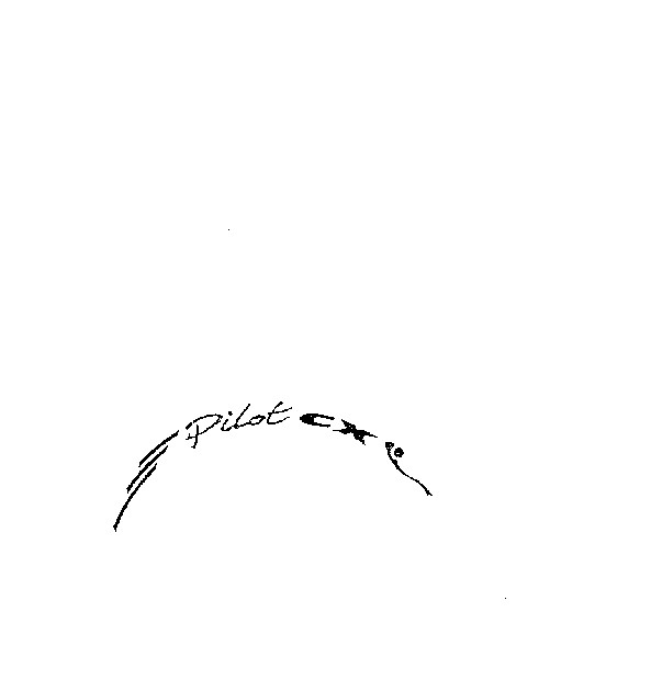 Pilot CX
