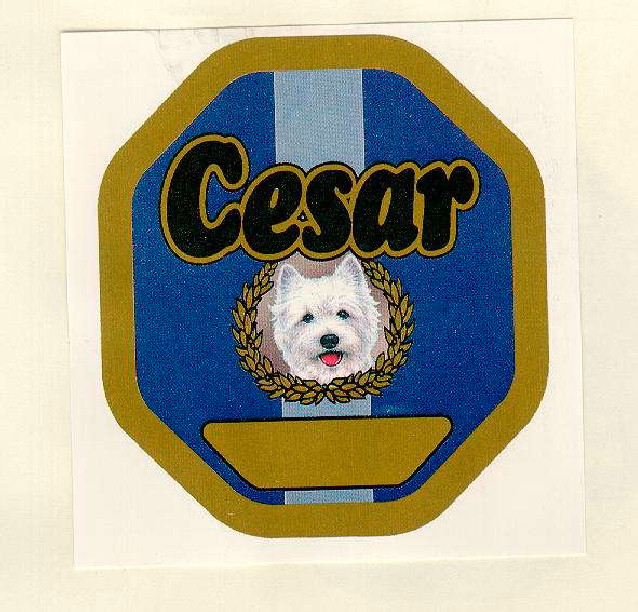 Cesar