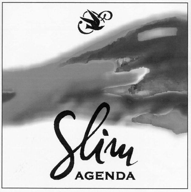 Slim AGENDA