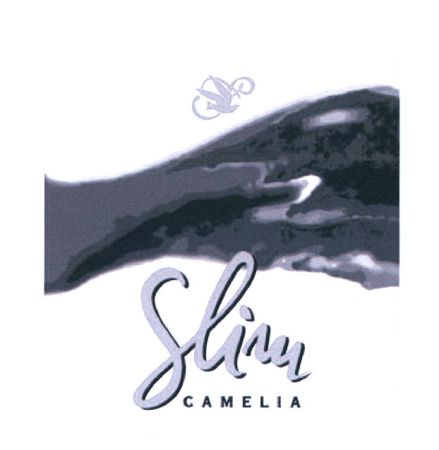 Slim CAMELIA