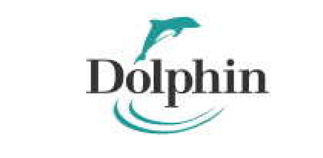 Dolphin