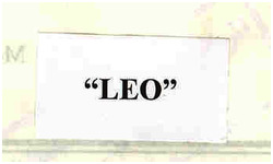 LEO