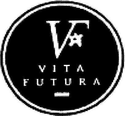 VF VITA FUTURA