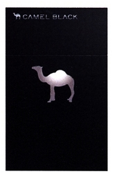 CAMEL BLACK avec dessin