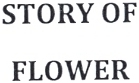 STORY OF FLOWER