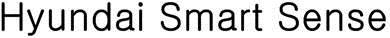 Hyundai Smart Sense