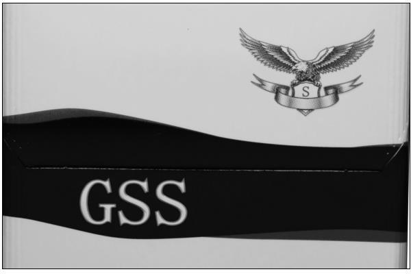 GSS