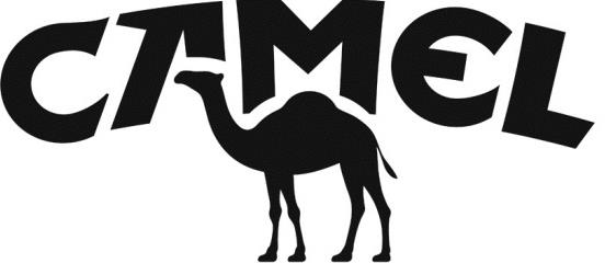 CAMEL AND DEVICE V