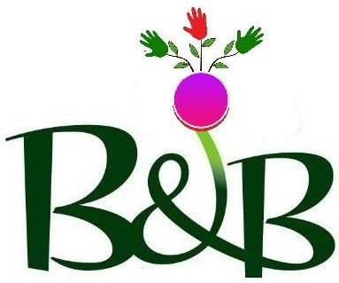 B&B