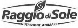 RAGGIO DI SOLE logo