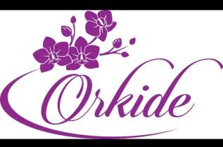 Orkide
