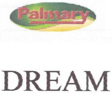 DREAM PALMARY