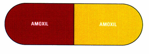 AMOXIL AMOXIL
