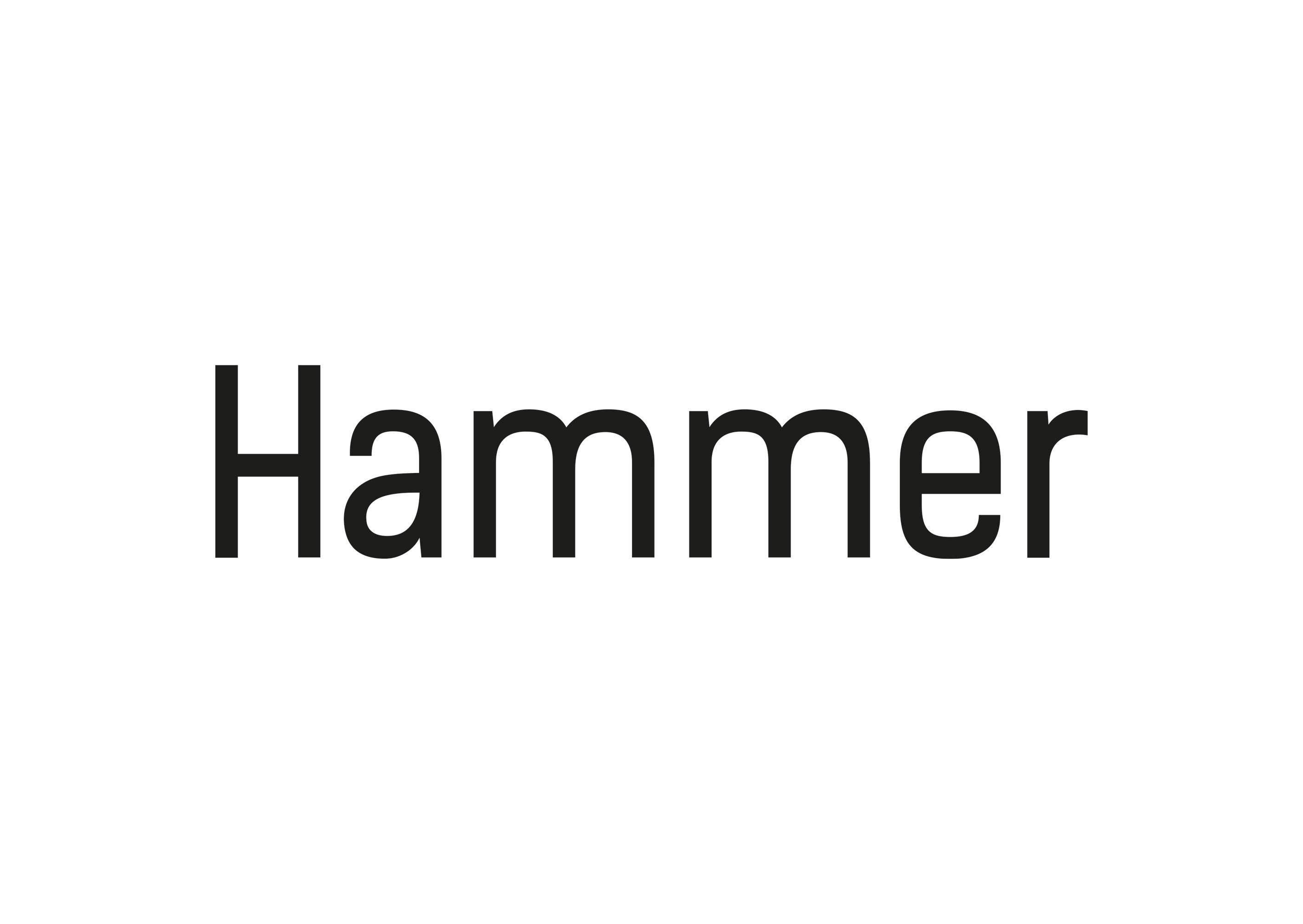 Hammer