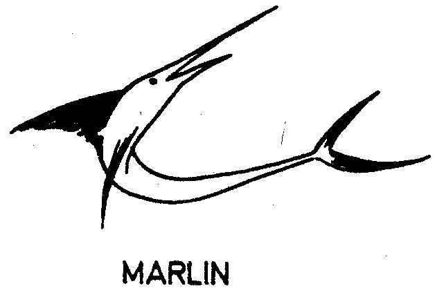 MARLIN