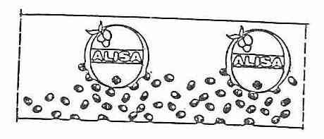 ALISA