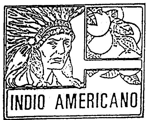 INDIO AMERICANO
