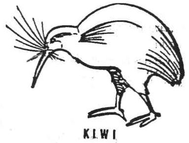 KIWI
