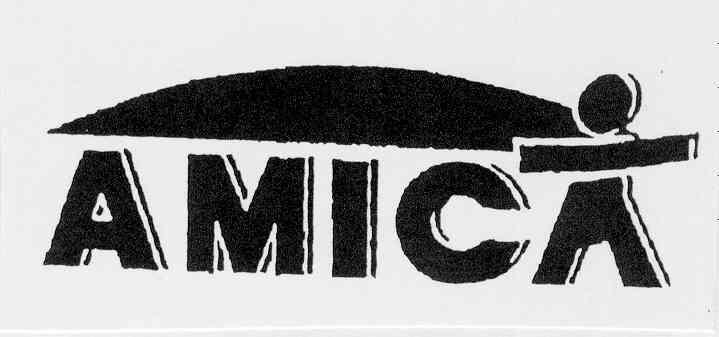 AMIC