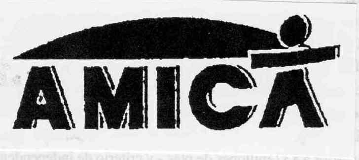 AMIC