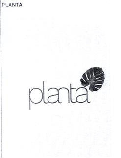 PLANTA