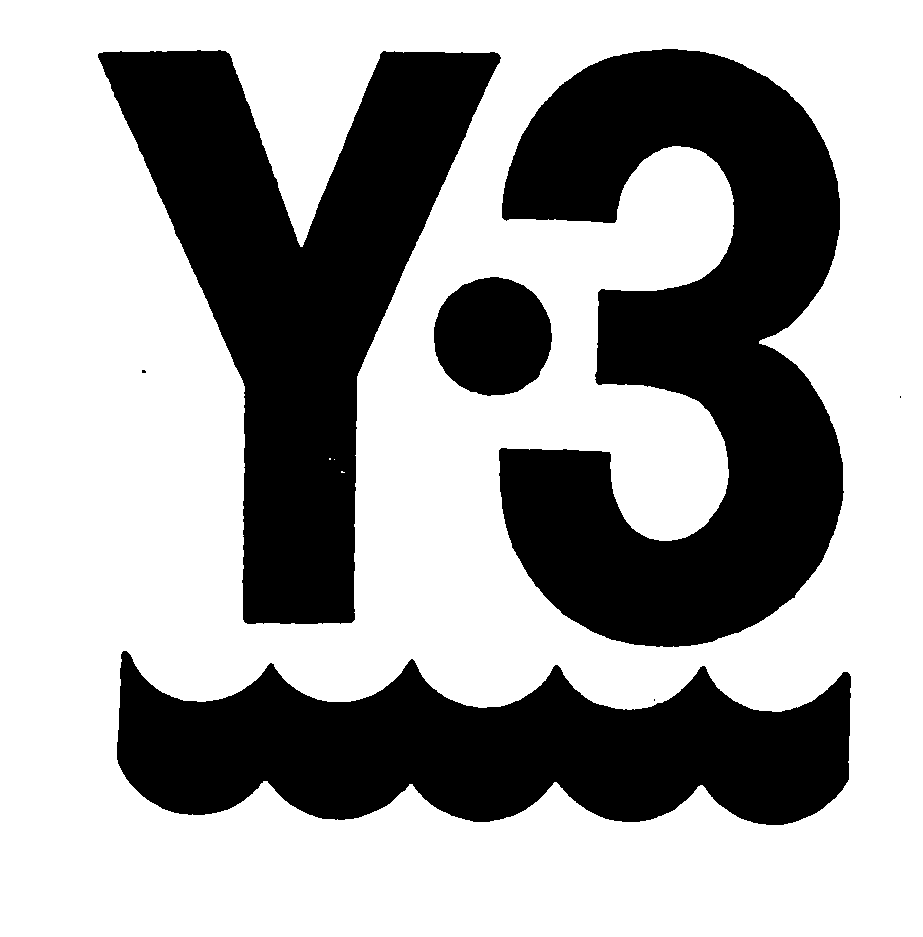 Y·3