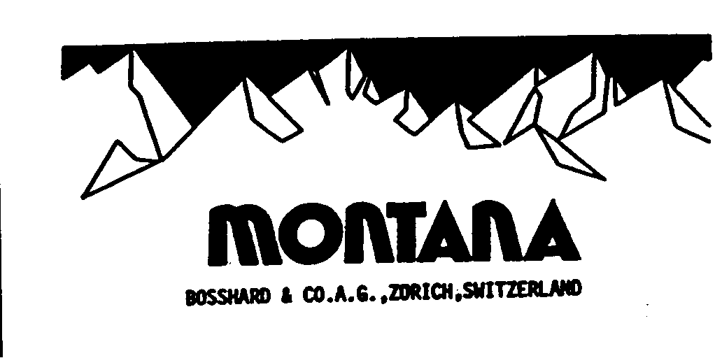 MONTANA BOSSHARD & CO.A.G.