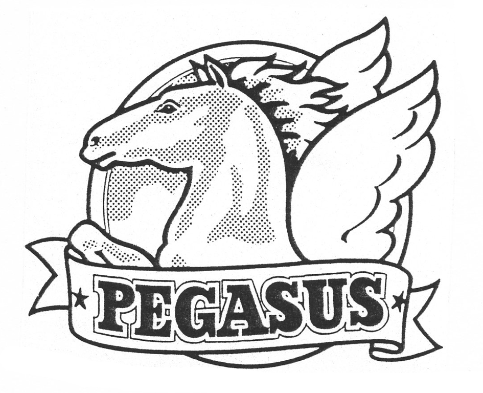 PEGASUS