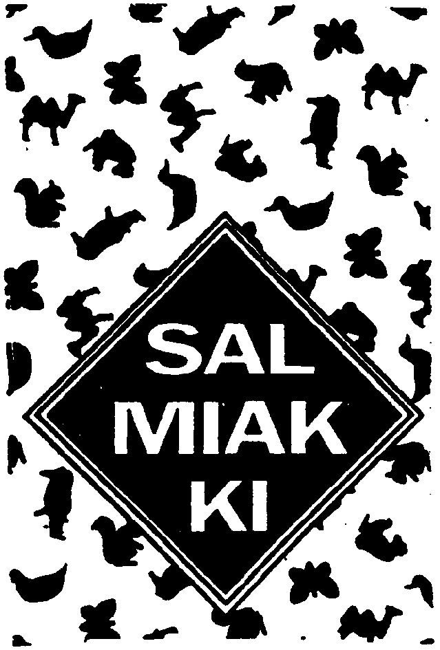 SALMIAKKI