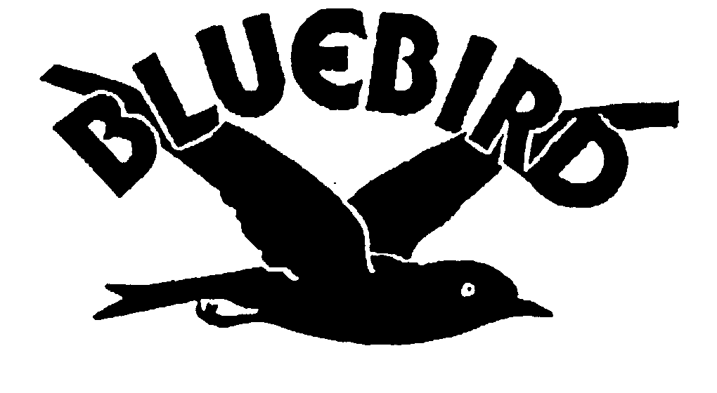 BLUEBIRD
