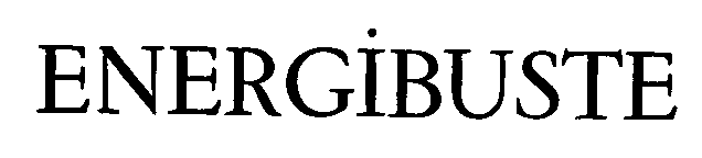 ENERGIBUSTE