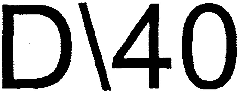 D40
