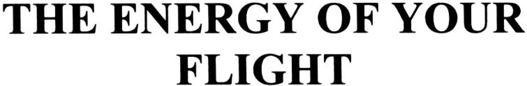 THE ENERGY OF YOUR FLIGHT