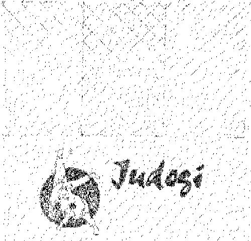 JUDOGI