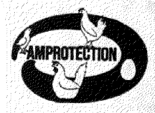 AMPROTECTION
