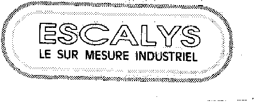 ESCALYS LE SUR MESURE INDUSTRIEL