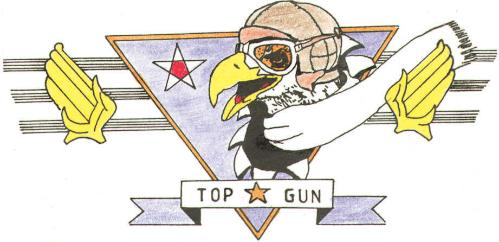 TOP GUN