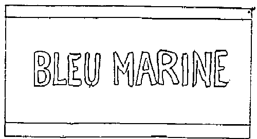 BLEU MARINE