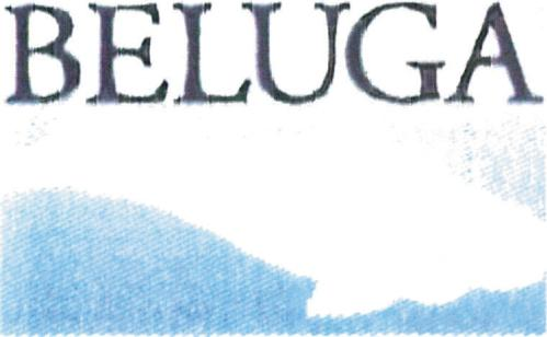 BELUGA