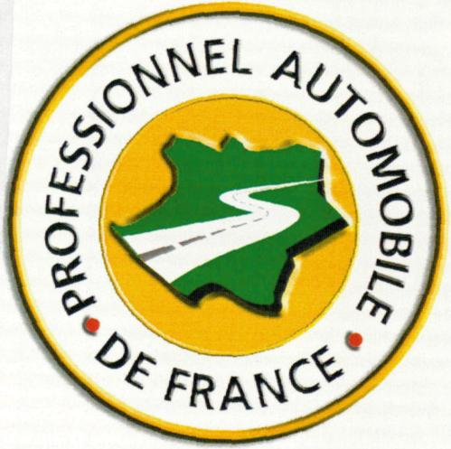 PROFESSIONNEL AUTOMOBILE DE FRANCE